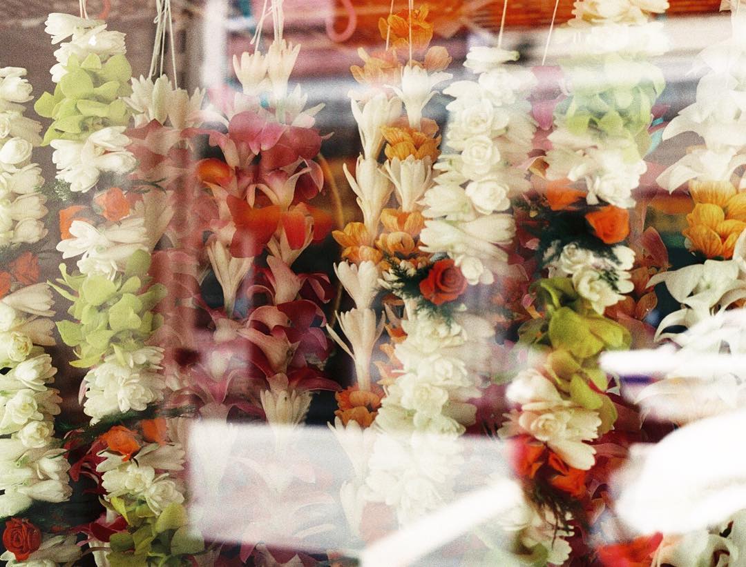 Lei Day 2023