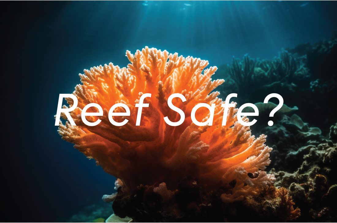 Actually, What is Reef Safe Sunscreen?