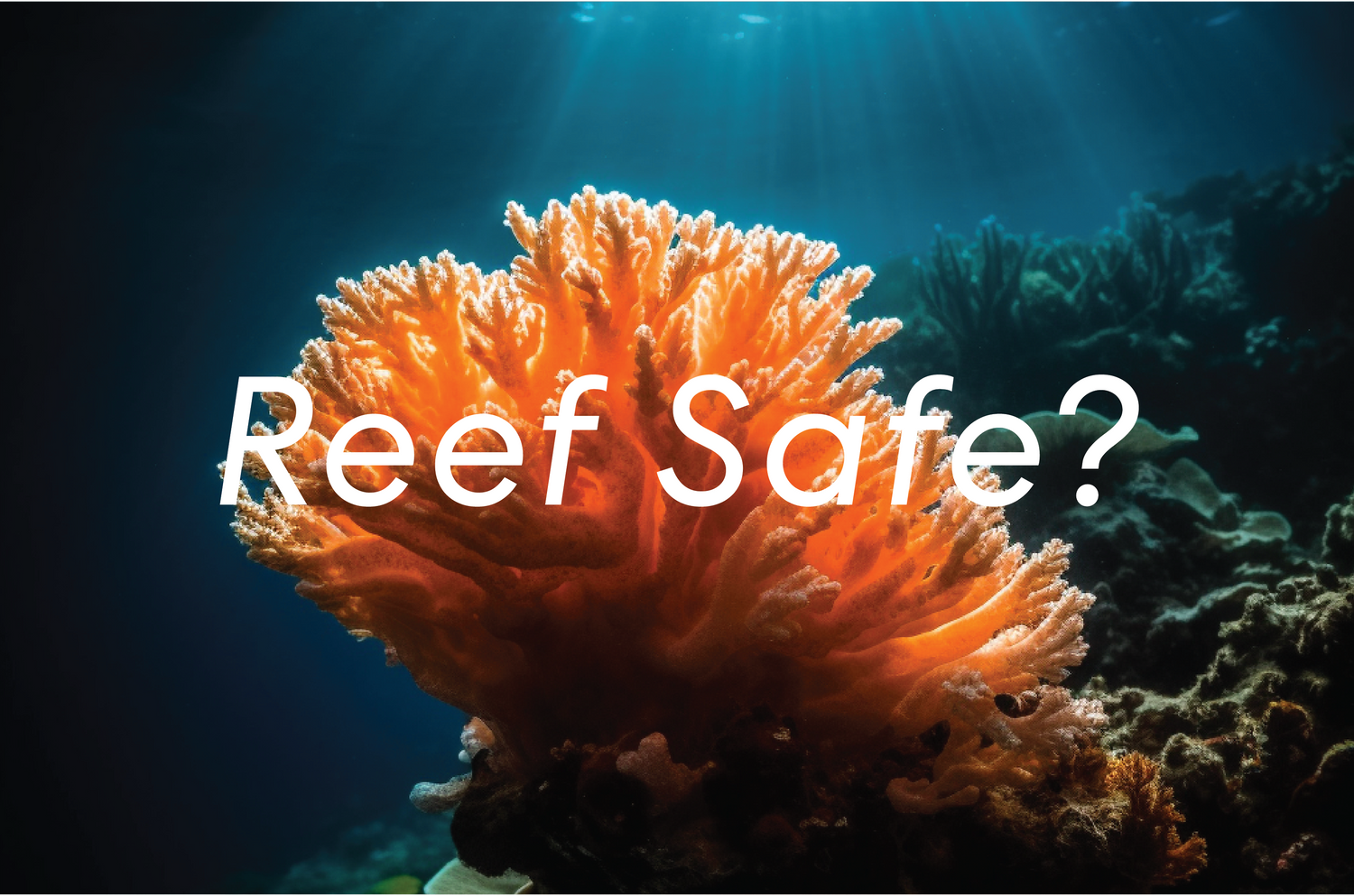 Actually, What is Reef Safe Sunscreen? Koa