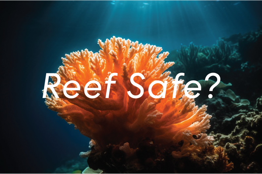 Actually, What is Reef Safe Sunscreen?